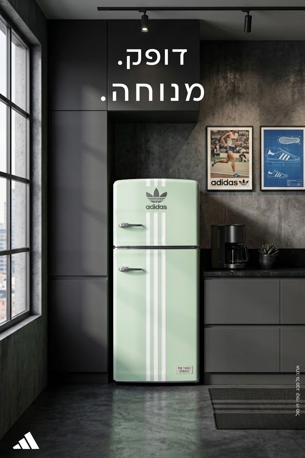 אדידס הום — תמונה 2